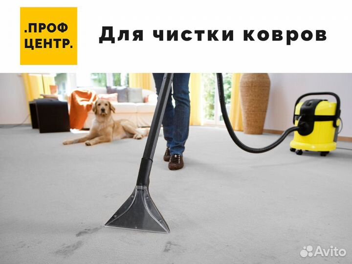 Аренда моющего пылесоса для мебели, ковров, машины