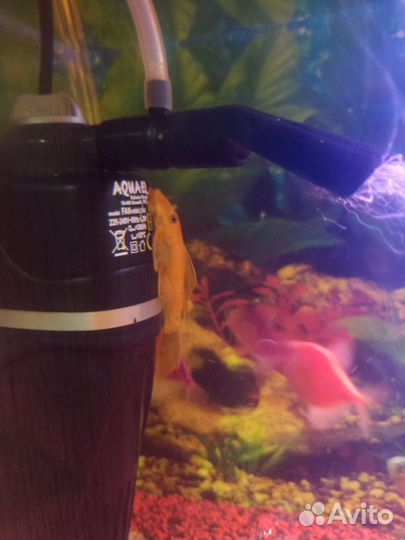 Аквариум с рыбками
