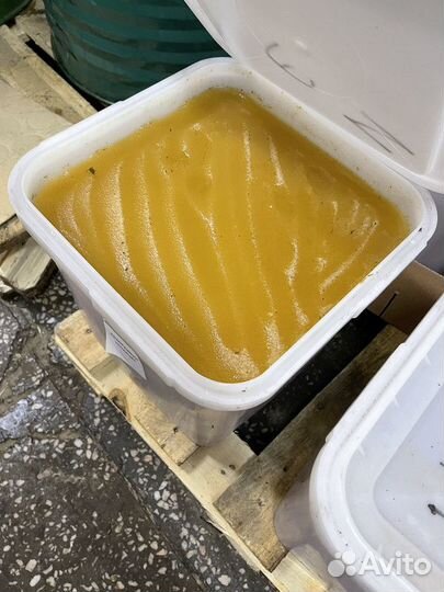 Эспарцетовый свежий мед оптом