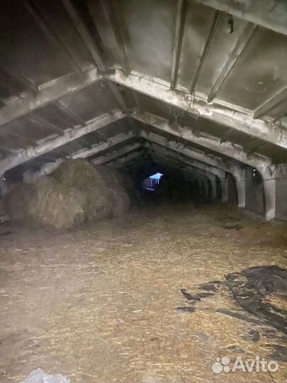 Животноводческая ферма