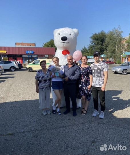 Белый мишка поздравление