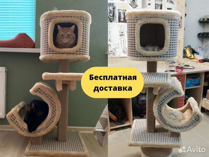 Когтеточка