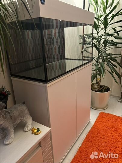 Аквариум (тумба+акв+оборудование)