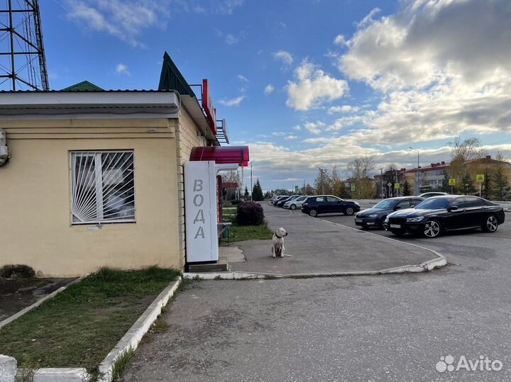 Франшиза автоматов питьевой воды