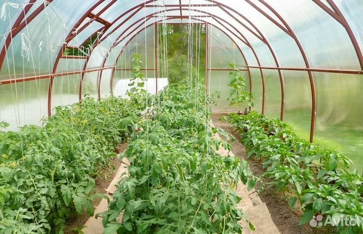 Теплицы арочные и прямостенные от завода