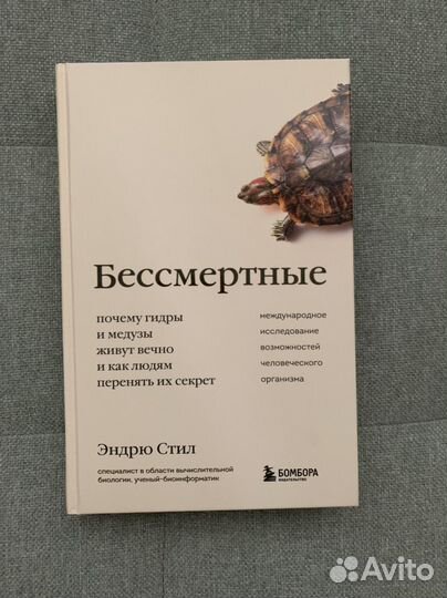 Эндрю Стил 