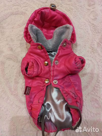 Одежда для мини собаки