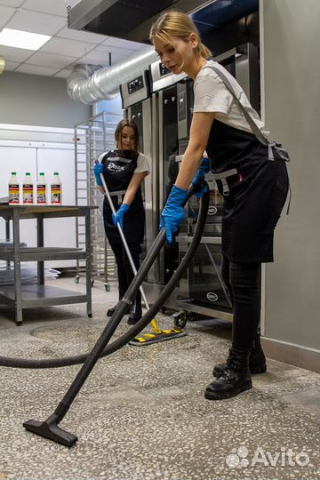 Клининг офисов,квартир. Все виды уборки. Химчистка