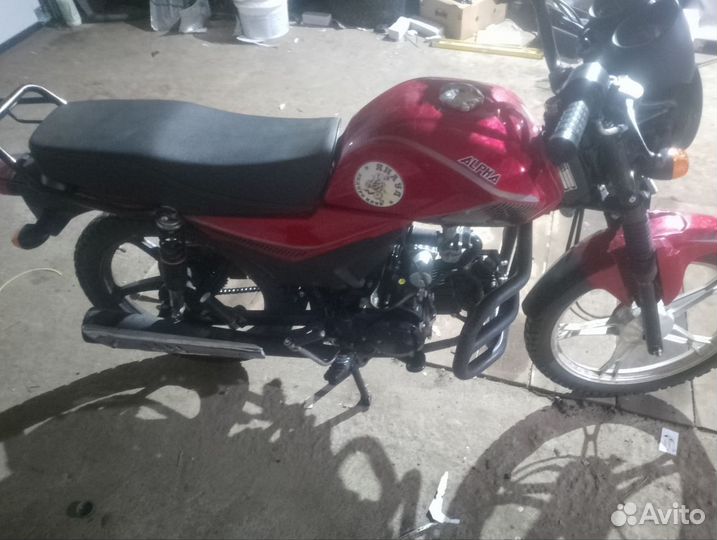 Alpha Lux 2022 год