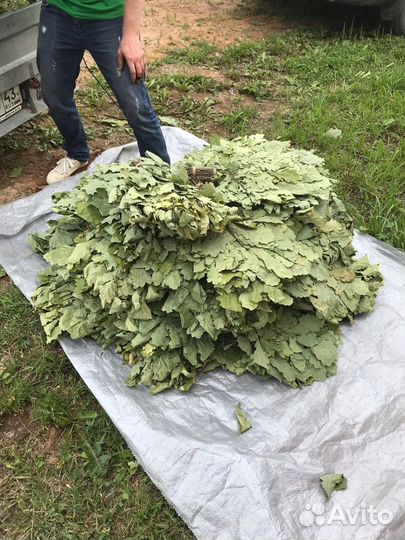 Веники дубовые для бани