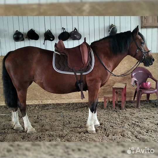 Верховая езда для детей, иппотерапия