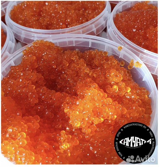 Икра Горбуши 2023