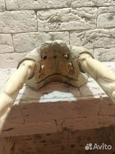 Коллекционное издание