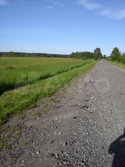 Участок 300 га (СНТ, ДНП)