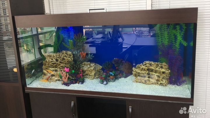 Изготовление аквариумов, террариумов Волгоград