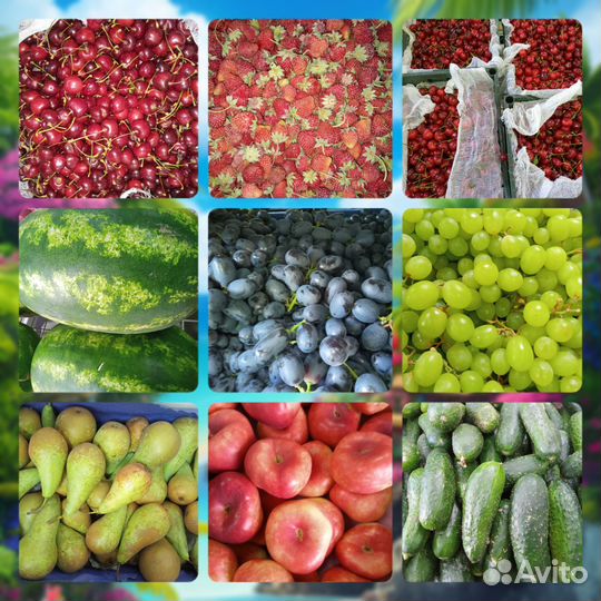 Фрукты Овощи Клубника с доставкой до двери