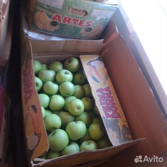 Яблоки