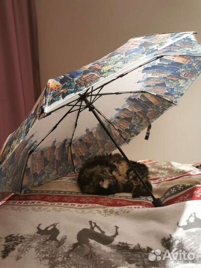 Передержка, выгул, кормление. Отпуск,выходные