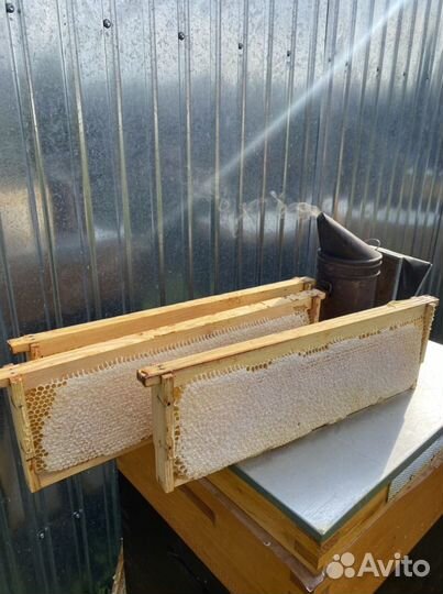 Мёд акация, рамки с медом акации