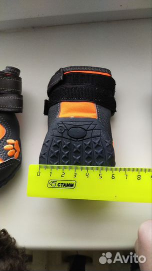 Обувь для собак