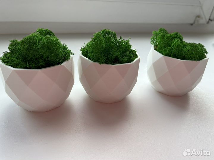 Кашпо со мхом