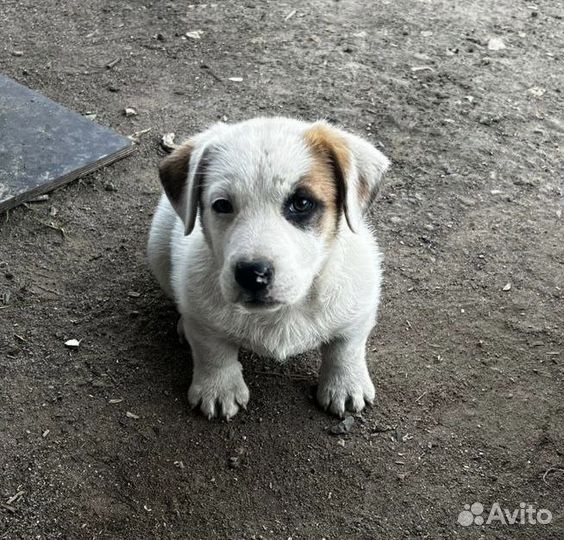 Крошке 2 месяца. Совсем одна