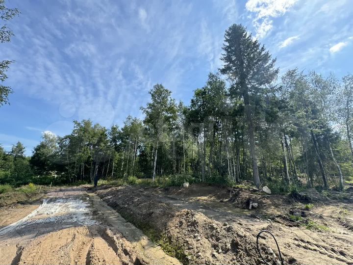 Участок 9,9 сот. (ИЖС)