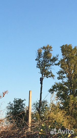 Благоустройство участка