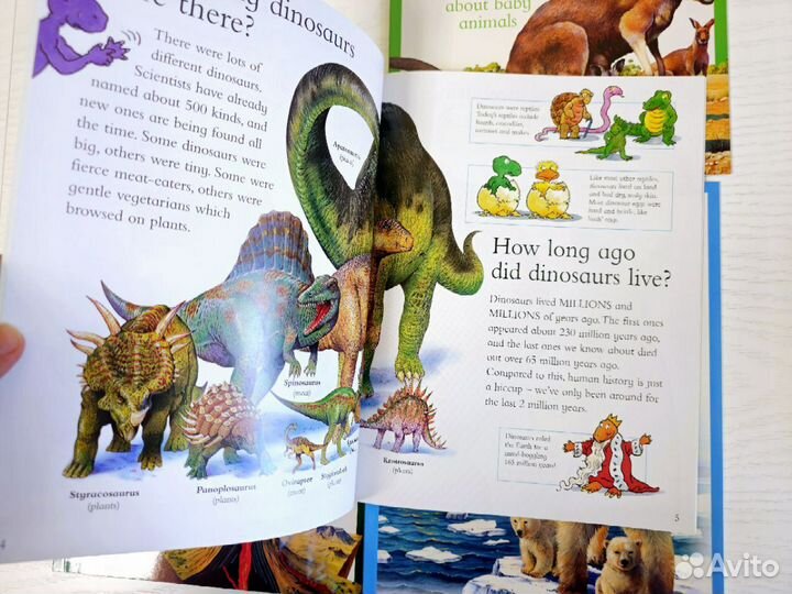 I Wonder whyновые книги на английском языке