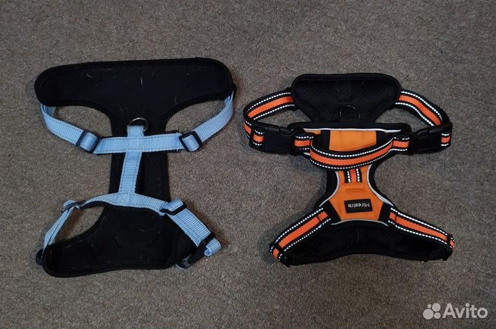 Амуниция, одежда для собак