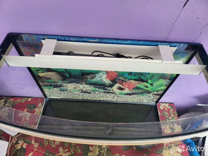 Аквариум 100 литров