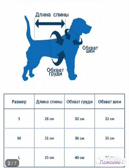 Одежда для собак