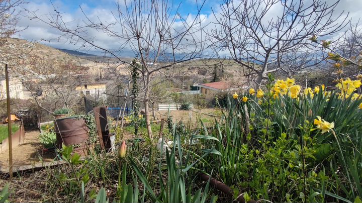 Участок 4 сот. (СНТ, ДНП)