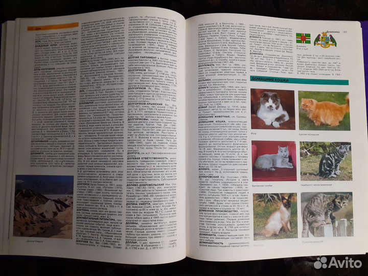 Иллюстрированный энциклопедический словарь