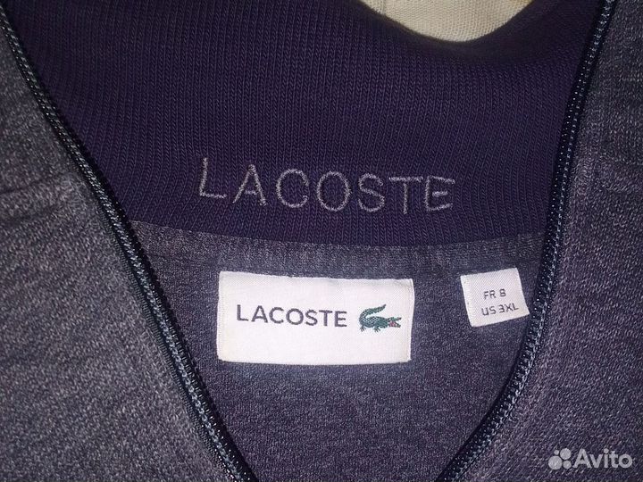 Свитшот мужской lacoste