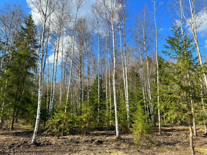 Коттедж 141,8 м² на участке 11 сот.