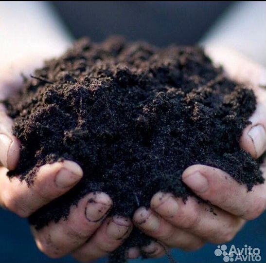 Чернозем Рязанский