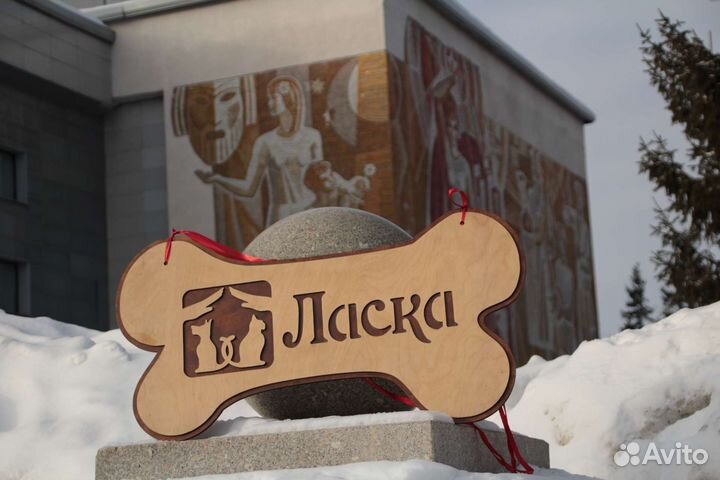 Проводник в мир приюта