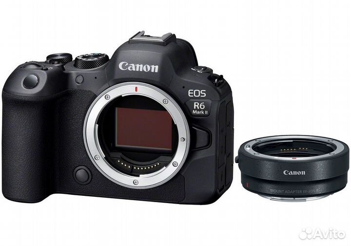 Камера Canon EOS R6 Mark II + адаптер RF-EF