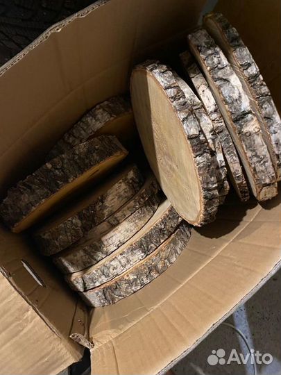 Торцевые спилы деревьев