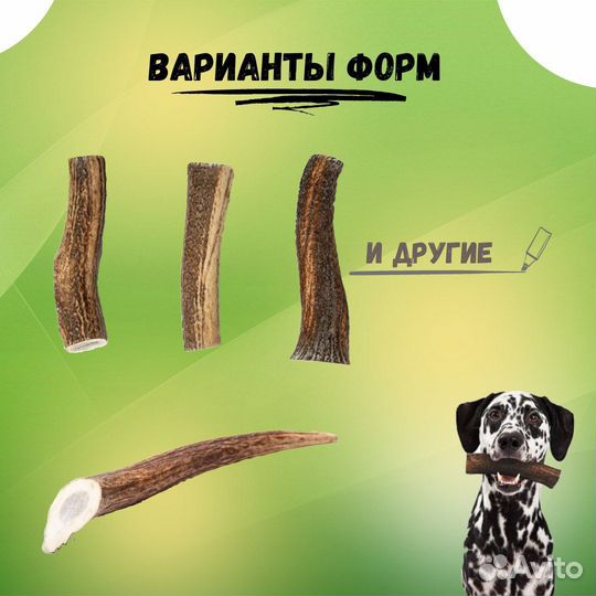 Рог оленя, лакомство для собак