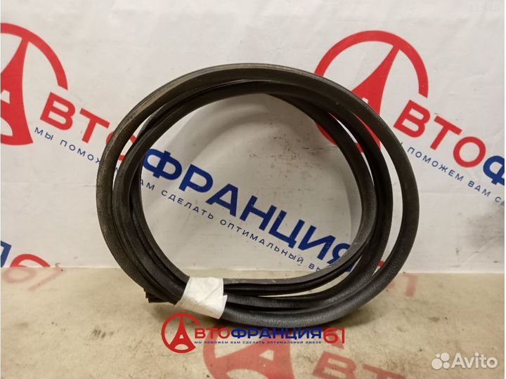 Уплотнитель двери, 6001549465 LADA largus, 3041853