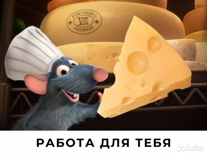 Подработка в торговом зале выплаты ежедневно