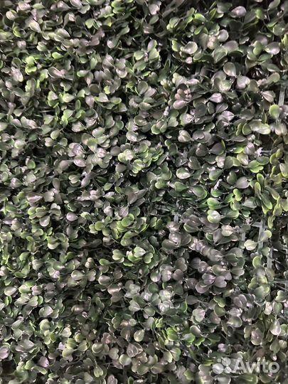 Искусственная растения