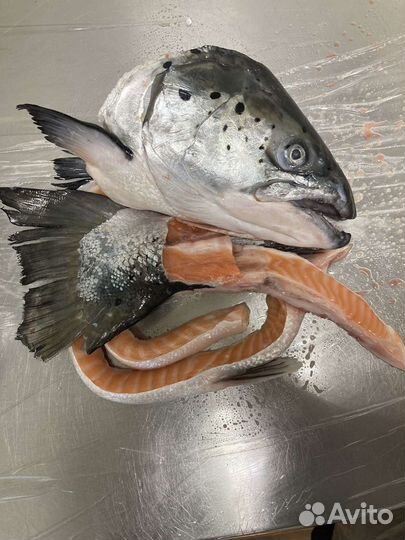 Суповой набор (Лосось)