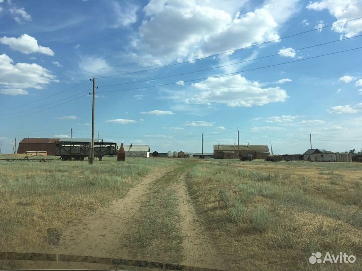 Фермерское хозяйство