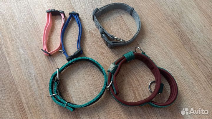 Ошейник для собак