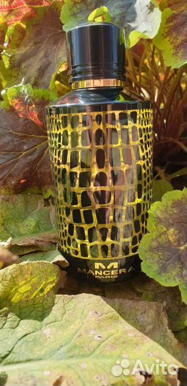 Mancera делюсь ароматами