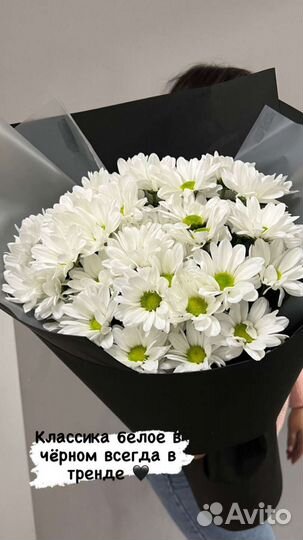 Хризантемы Букет Ромашки Гигант