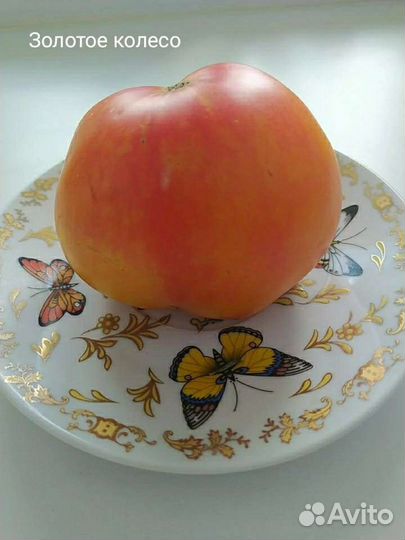 Семена помидор